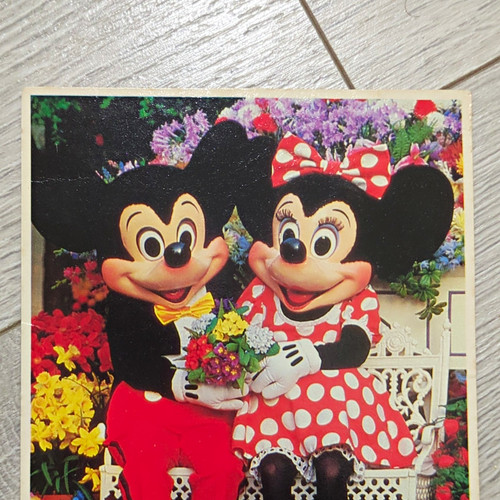 Disney mickey minnie mouse - &,